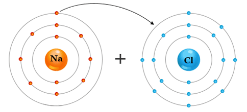 Figure 5.4. Sodium (Na) atom (left). Note only one electron in outer shell. Chlorine (Cl) atom (right). Note only seven electrons in outer shell. The one electron in outer shell of Na is shared in outer orbital of Cl, which lacks one electron of having a full eight electrons in its outer shell, producing the NaCl (table salt) molecule (Priyam Study Centre, 2022).